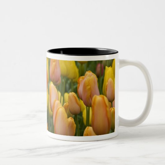 Nederland (ook bekend als Holland), Lisse. Keukenh Tweekleurige Koffiemok (Rechts)