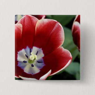 Nederland (ook bekend als Holland), Lisse. Keukenh Vierkante Button 5,1 Cm