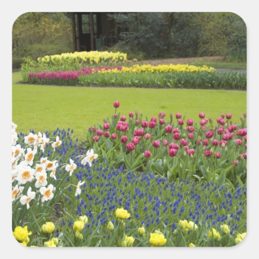 Nederland (ook bekend als Holland), Lisse. Keukenh Vierkante Sticker (Voorkant)