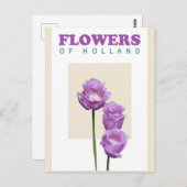  Nederland Paarse Tulpen Reizen Briefkaart (Voorkant / Achterkant)