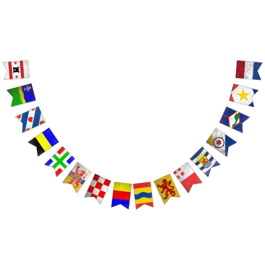 Nederland Vlaggetjes (Alle)