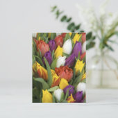 Nederland, Zuid-Holland, Amsterdam Briefkaart (Staand voorkant)