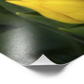 Nederland, Zuid-Holland, Amsterdam Foto Afdruk (Hoek)