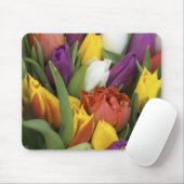 Nederland, Zuid-Holland, Amsterdam Muismat (Met muis)