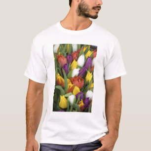 Nederland, Zuid-Holland, Amsterdam T-shirt