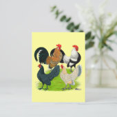 Nederlands Bantam Kwartet Briefkaart (Staand voorkant)