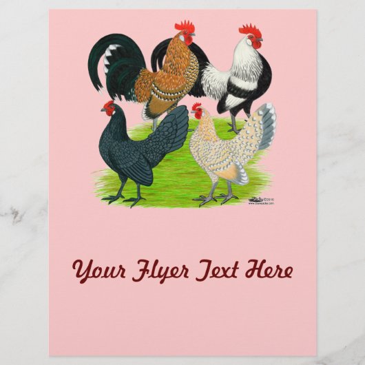 Nederlands Bantam Kwartet Flyer (Voorkant)