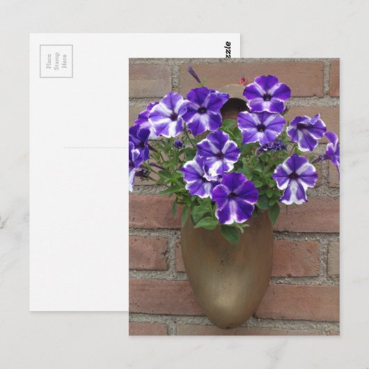 Nederlands blog met Paars blauw witboek over de mu Briefkaart (Voorkant / Achterkant)