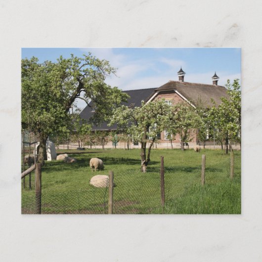 Nederlands boerderij briefkaart (Voorkant)
