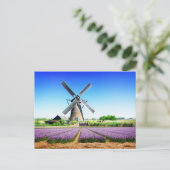 Nederlands Boerderij Windmolen en Paars bloemveld Briefkaart (Staand voorkant)