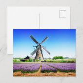 Nederlands Boerderij Windmolen en Paars bloemveld Briefkaart (Voorkant / Achterkant)
