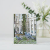 Nederlands Briefkaart van Kanaalhuizen en duiven (Staand voorkant)