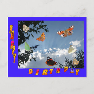 Nederlands Butterflies Blue Lijst Birthday Briefka Briefkaart