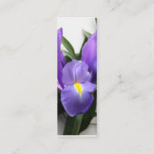 Nederlands iris bouquet bladwijzer mini visitekaartje (Achterkant)