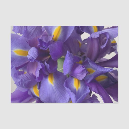 Nederlands iris bouquet tissuepapier (Voorkant)