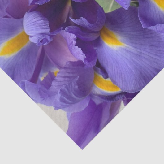 Nederlands iris bouquet tissuepapier (Detail)