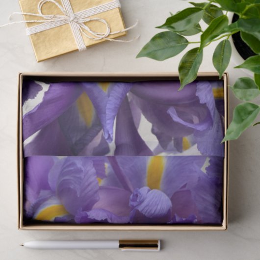 Nederlands iris bouquet tissuepapier (Geschenk)