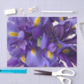 Nederlands iris bouquet tissuepapier (Craft)