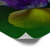 Nederlands Iris in Iris Vase Fine Art Poster/Afdru Poster (Hoek)