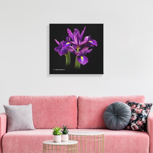 Nederlands Iris Paars Sensation Canvas Afdruk (Insitu (Woonkamer))