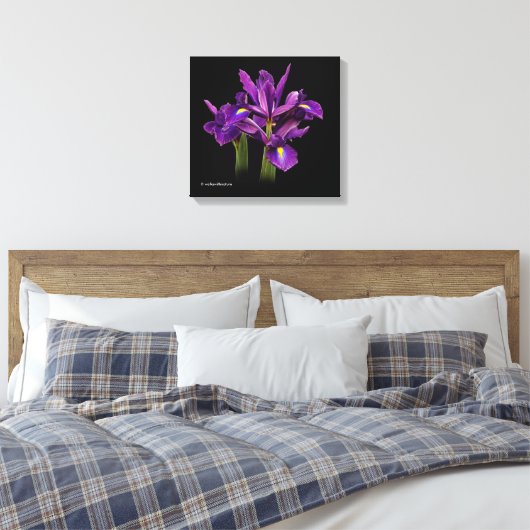 Nederlands Iris Paars Sensation Canvas Afdruk (Insitu (Slaapkamer))