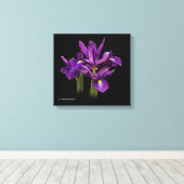 Nederlands Iris Paars Sensation Canvas Afdruk (Insitu (Houten vloer))