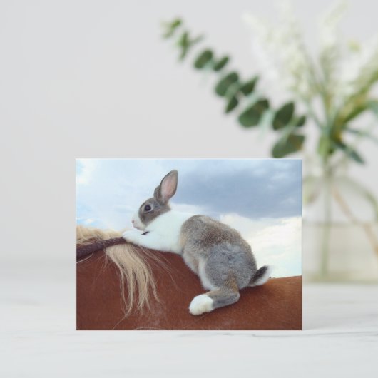 Nederlands konijn met een paardenkonijn briefkaart (Staand voorkant)
