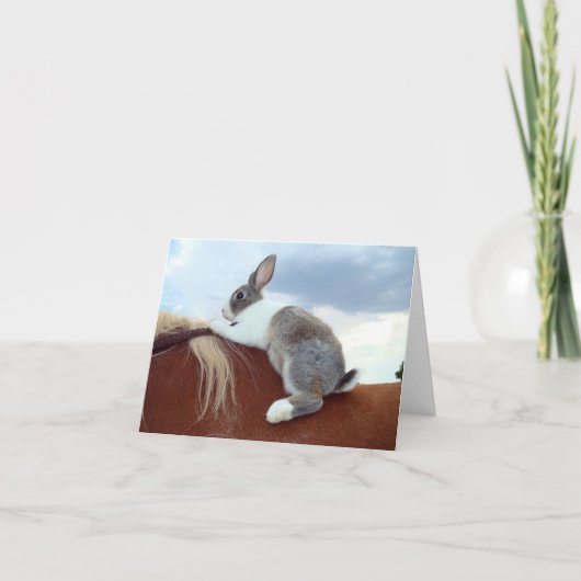 Nederlands konijntjeskonijn het berijden paard kaart (Voorkant)