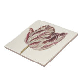 Nederlands Kunst: Witte en rode Tulp Tegeltje (Zijkant)