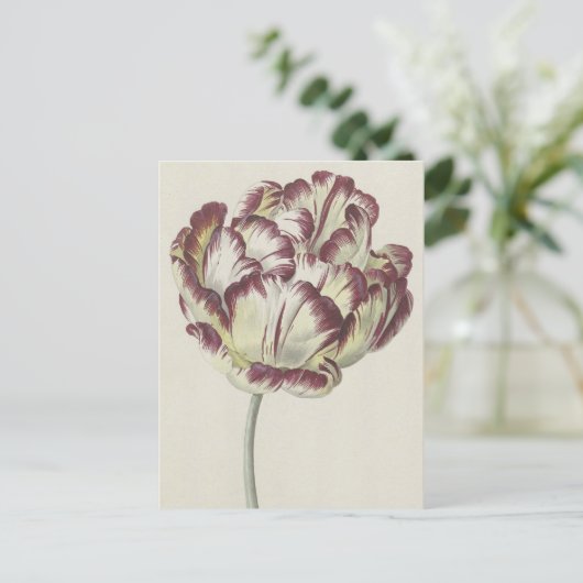  Nederlands Kunst: Witte, rode en gele Tulp Briefkaart (Staand voorkant)