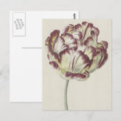  Nederlands Kunst: Witte, rode en gele Tulp Briefkaart (Voorkant / Achterkant)