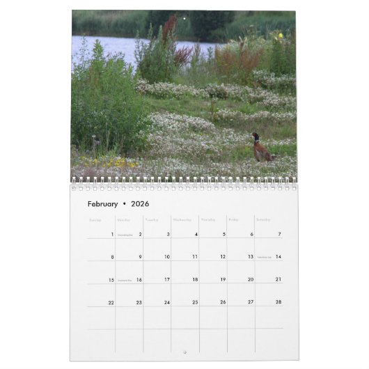 Nederlands landschap kalender (Feb 2026)