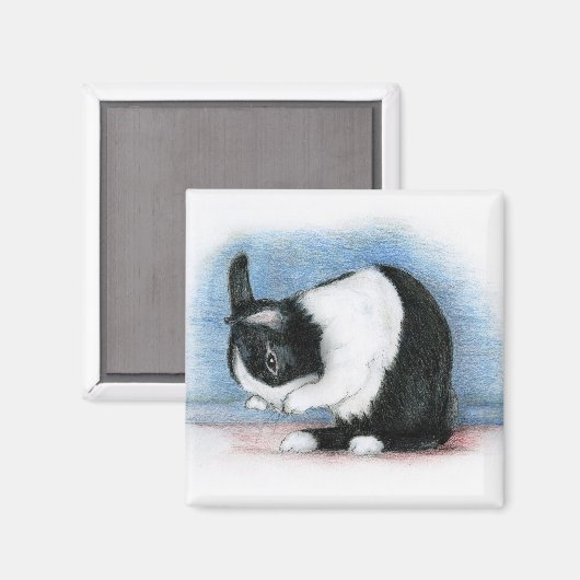 Nederlands Magneet (Voorkant / Achterkant)