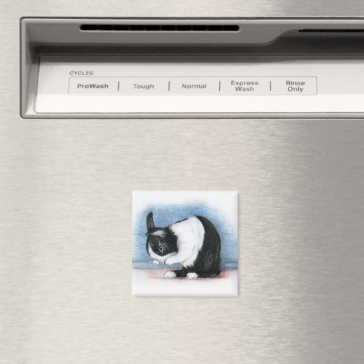 Nederlands Magneet (Insitu (Vaatwasser))