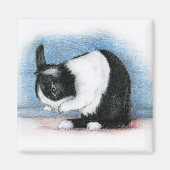 Nederlands Magneet (Voorkant)