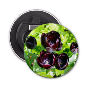  Nederlands Paars Groen Zwarte Tulpen Foto Button Flesopener