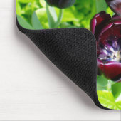  Nederlands Paars Groen Zwarte Tulpen Foto Muismat (Hoek)