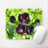  Nederlands Paars Groen Zwarte Tulpen Foto Muismat (Met muis)