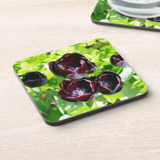  Nederlands Paars Groen Zwarte Tulpen Foto Onderzetter (Linkerzijde)