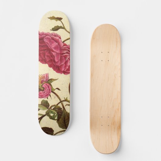 Nederlands Roos Skateboard (Voorkant)