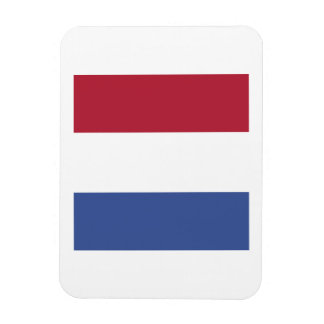 Nederlands vlag embleem magneet