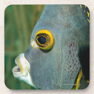 Nederlandse Antillen, Bonaire, sluiting onderwater Onderzetter