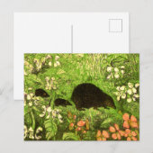 Nederlandse Art Nouveau Egel en Baby's Briefkaart (Voorkant / Achterkant)