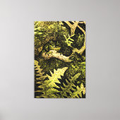 Nederlandse Art Nouveau Kikker in Boom Canvas Afdruk (Voorkant)