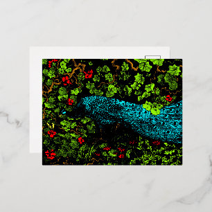 Nederlandse Art Nouveau Pauw en Vlinder Folie Feestdagen Briefkaart