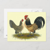 Nederlandse Bantam:  Blauwe kwartel Briefkaart (Voorkant / Achterkant)