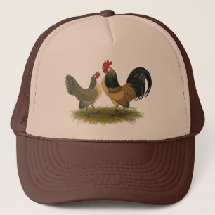 Nederlandse Bantam: Blauwe kwartel Trucker Pet