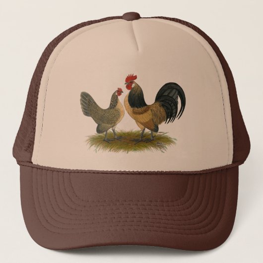 Nederlandse Bantam: Blauwe kwartel Trucker Pet (Voorkant)