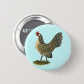 Nederlandse Bantam: Blue Quail Hen Ronde Button 5,7 Cm (Voorkant /achterkant)