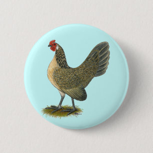 Nederlandse Bantam:  Blue Quail Hen Ronde Button 5,7 Cm